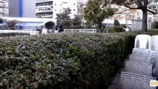 必多精品店实拍视频